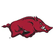 Arkansas Razorbacks