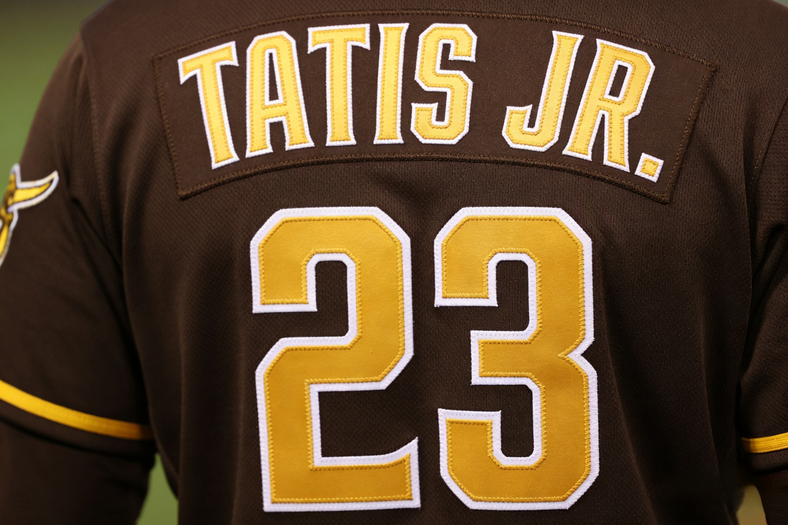 San Diego Padres Jersey: City Connect vs. Classic Brown Guide 4 Back view of a Fernando Tatis Jr. #23 Padres jersey with stitched nameplate